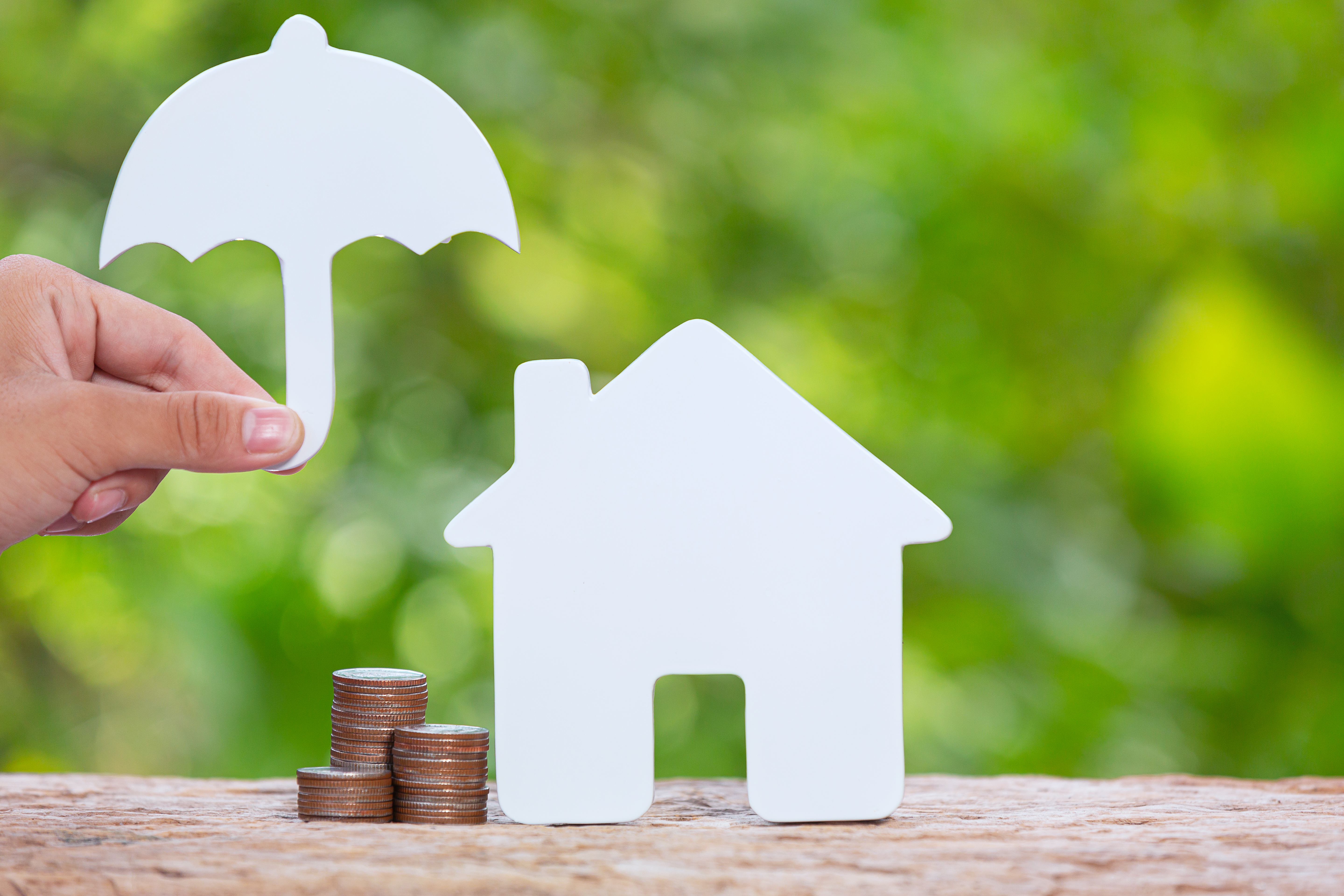 Home in a flood-prone area with climate risk concerns